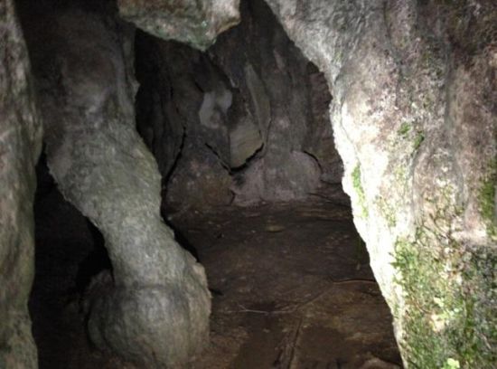 小山洞内别有一翻风景。