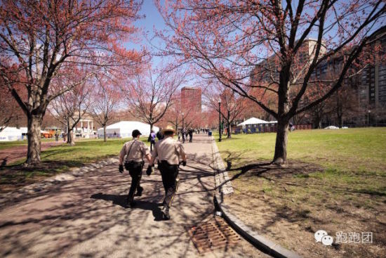 春天的波士顿公园姹紫嫣红，春意盎然。