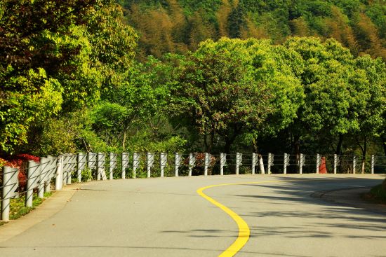 九龙湖马拉松赛道，穿着challenge100走在其中，春意盎然。