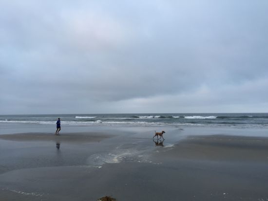 美丽的亨廷顿海滩上的跑步者。