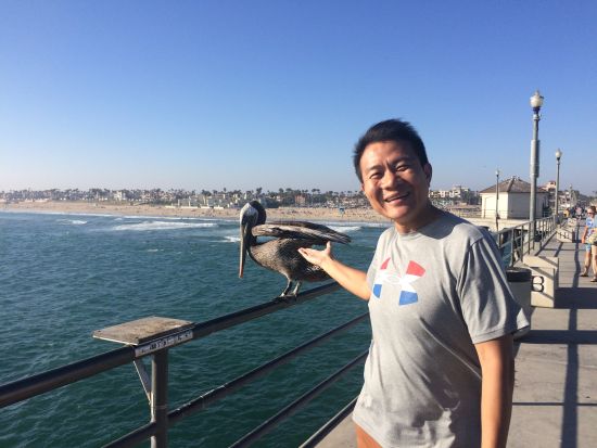 与在长桥栏杆上歇脚的大海鸟合影时它丝毫不害怕。