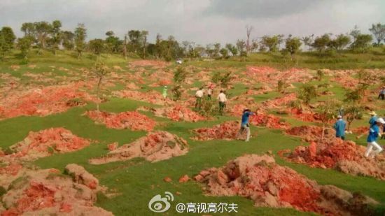 又一座球场惨遭“整治”(图片来源：高视高尔夫)