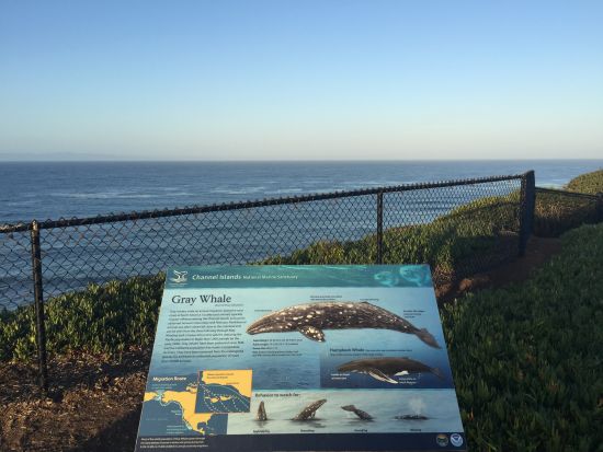 shoreline park海岸线公园。