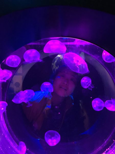 王鹏老师也是萌萌哒。