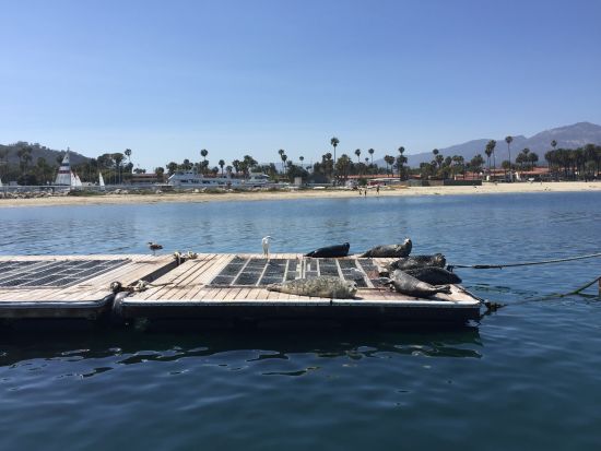 小家伙们正在美美的晒太阳。