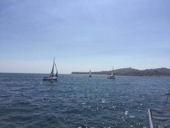 眺望远处航行的帆船。