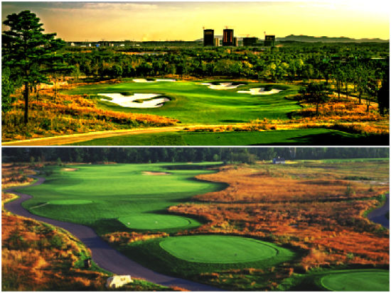 上述两个球场通过种植本地草降低用水和化学物质使用