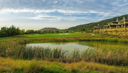 通过水边种植湿地植物帮助过滤清理污染物