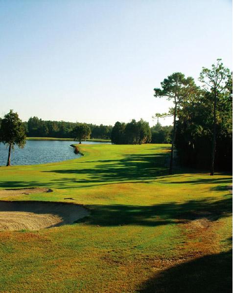 Copperhead球场景色