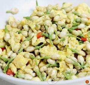 食域| 花入口 齿留香