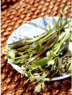 食域|花入口 齿留香