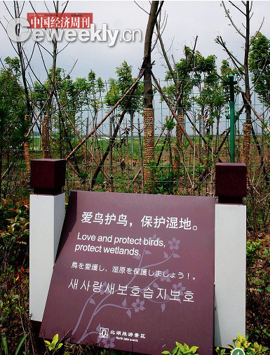 点击浏览下一页