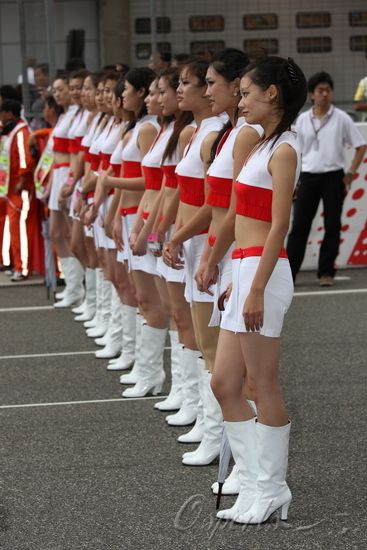 图文-f1中国大奖赛正式比赛 靓丽的举牌女郎