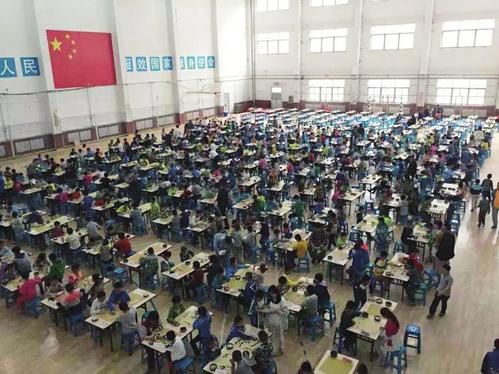 手球馆里的围棋赛。 