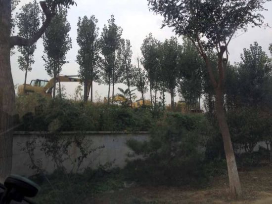 推土机在朝阳区一家高尔夫球场内作业