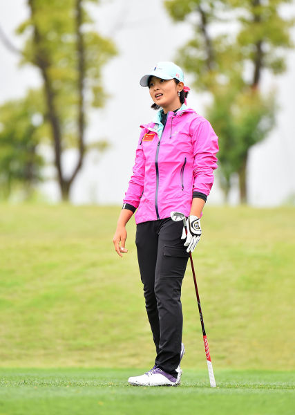 张维维连续3只鸟