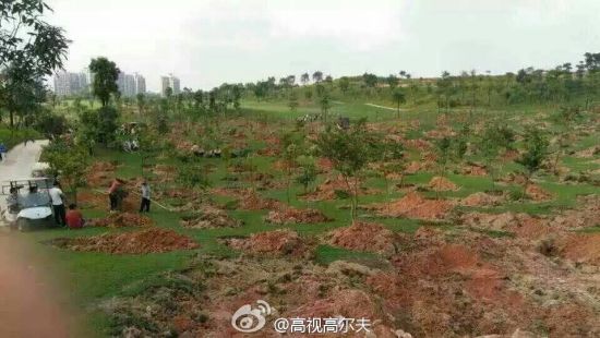 球场被铲惨状(图片来源：高视高尔夫微博)