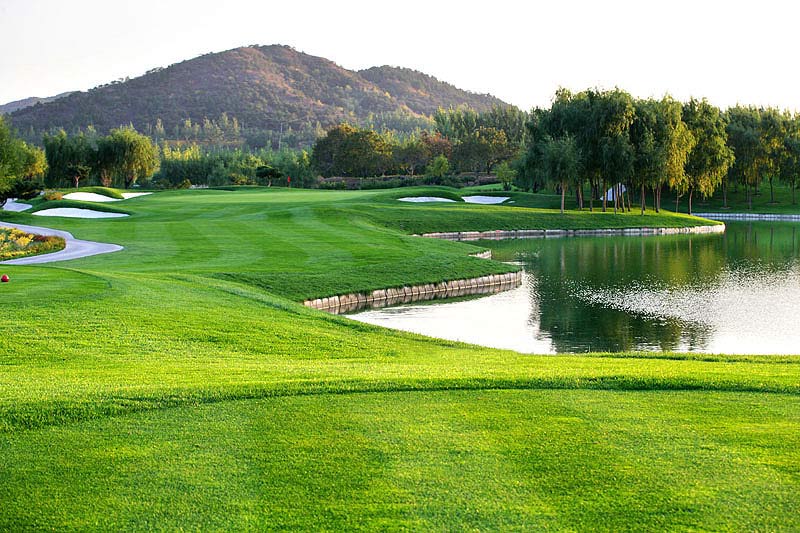 顺峰乡村球会美景