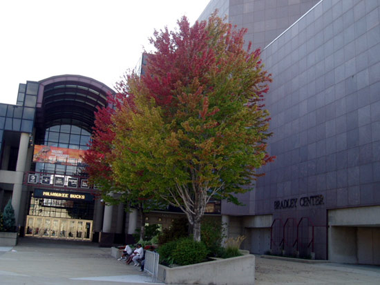 1/8间隔:图文-直击易建联密城亮相 雄鹿队主场布拉德利中心(10月08日