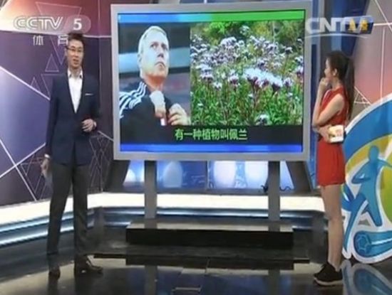 央视借同名植物赞佩兰