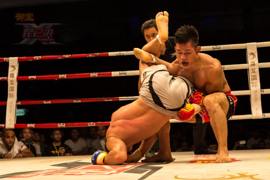 杨建平vs金利朔