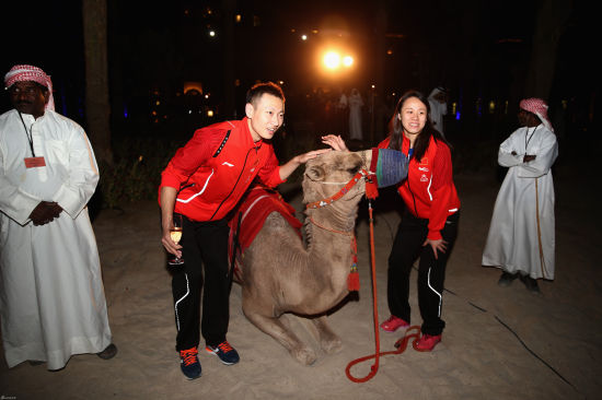 张楠赵芸蕾与骆驼合影