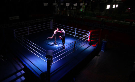 中国搏击产业现状全扫描