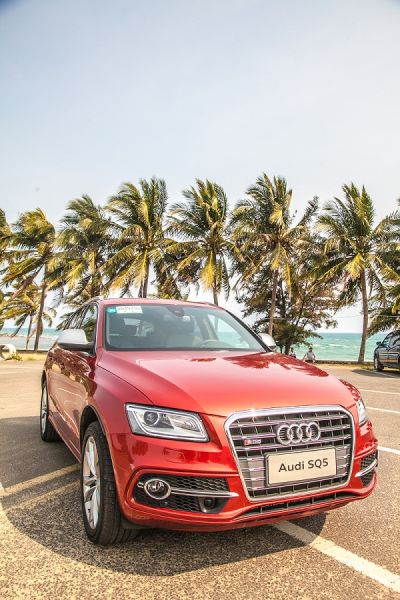奥迪SQ5、Q5、Q7作为活动唯一指定用车，成为大会上最靓丽的一道风景