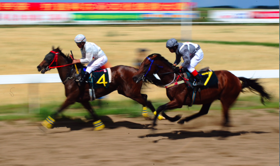 2015中国速度赛马大奖赛即将开锣