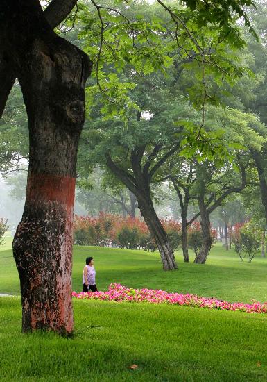 北京园林绿化(北京园林绿化局地址在哪里)