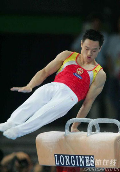 图文体操世锦赛肖钦鞍马三连冠杨威憾失奖牌