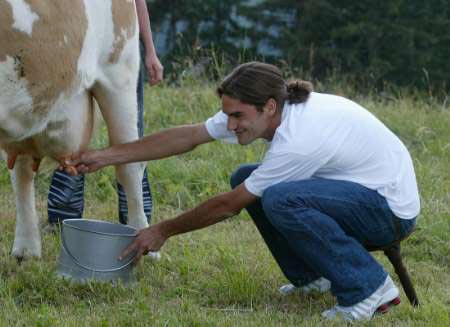 费德勒奶牛宠物茱莉叶惨遭宰杀仅因产奶量未达标准