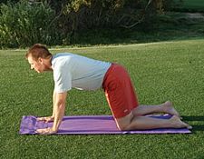 球技-哈他瑜伽太阳礼姿势改善呼吸促进血液循环