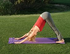 球技-哈他瑜伽太阳礼姿势改善呼吸促进血液循环