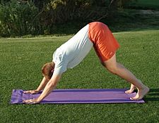 球技-哈他瑜伽太阳礼姿势改善呼吸促进血液循环